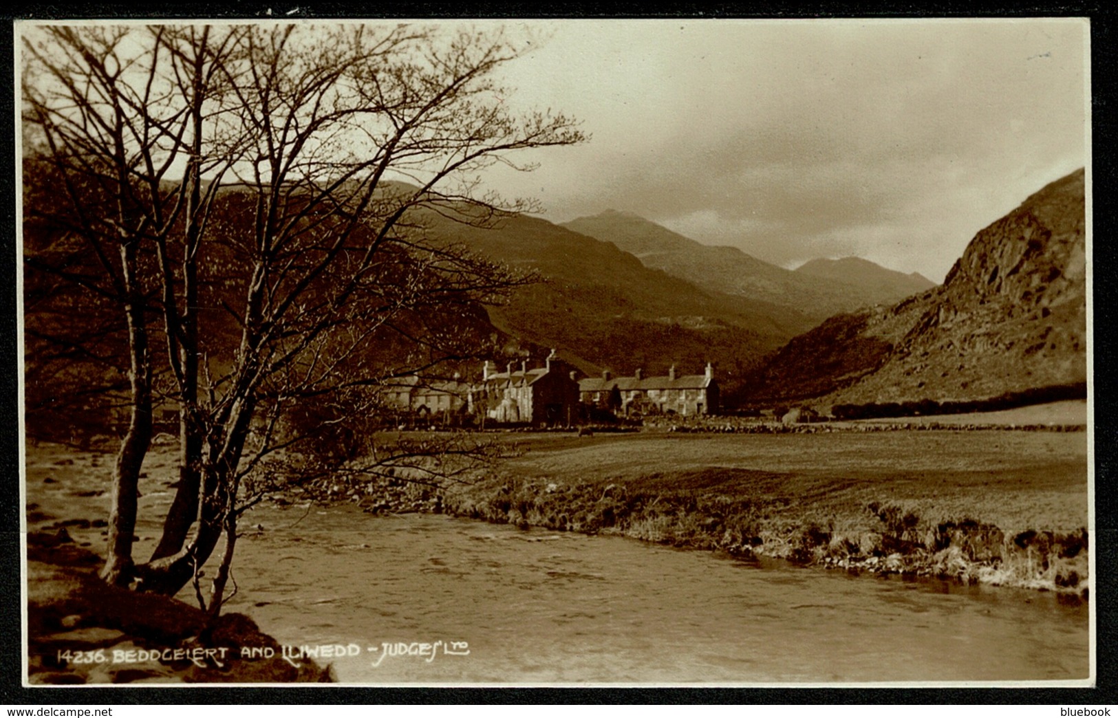 Ref 1268 - Judges Real Photo Postcard - Beddgelert & Lliwedd Snowdonia - Caernarvonshire Wales - Caernarvonshire