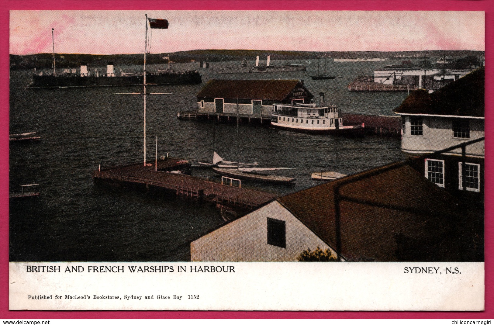 Sydney - British And French Warships In Harbour - N.S. - Colorisée - Warwick BRO'S RUTTER - Sydney