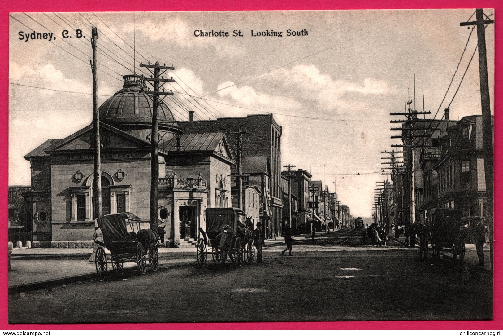 Sydney - Charlotte Street Looking South - Attelage - Animée - C.B. - Edit. WALTER HALL - Autres & Non Classés