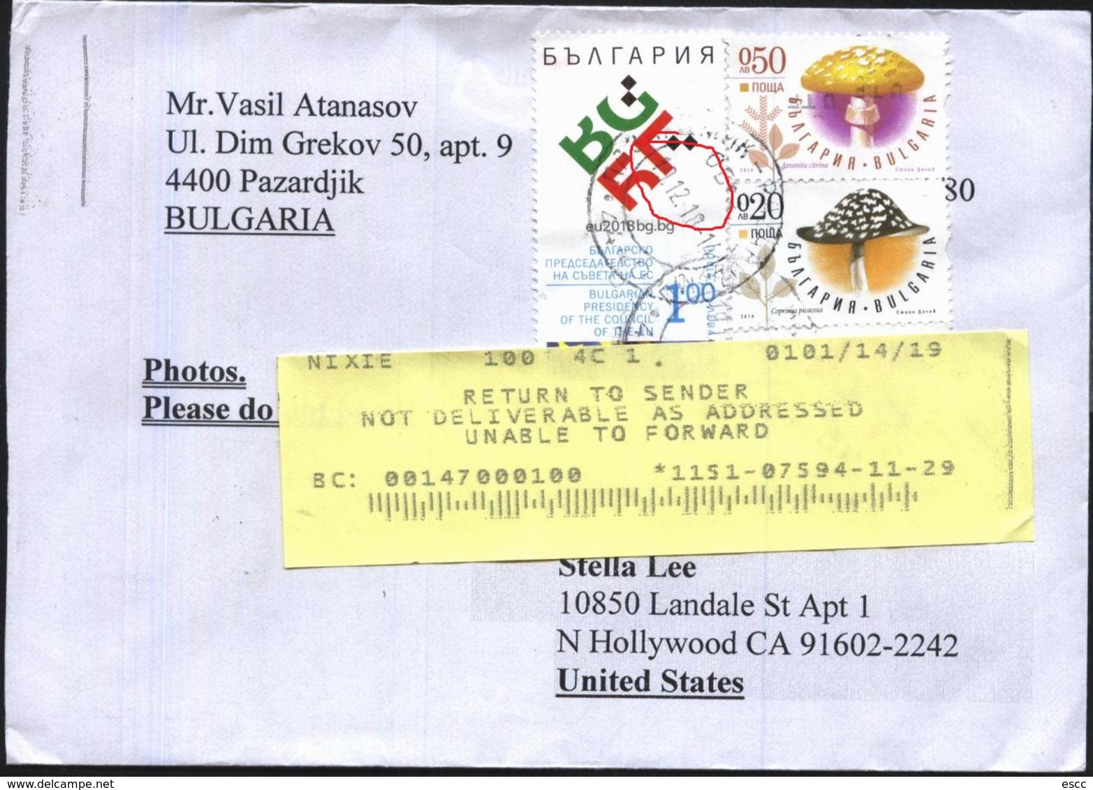 Mailed Cover (letter) With Stamps  Mushrooms 2014  From Bulgaria - Lettres & Documents