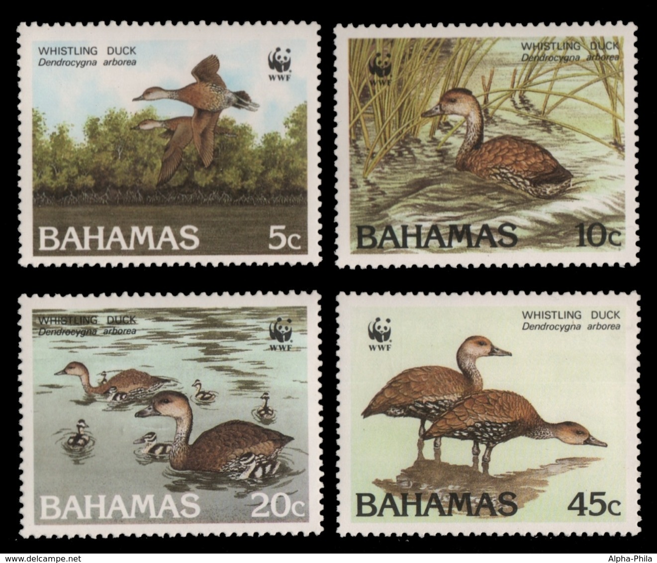Bahamas 1988 - Mi-Nr. 672-675 ** - MNH - Vögel / Birds - Bahamas (1973-...)