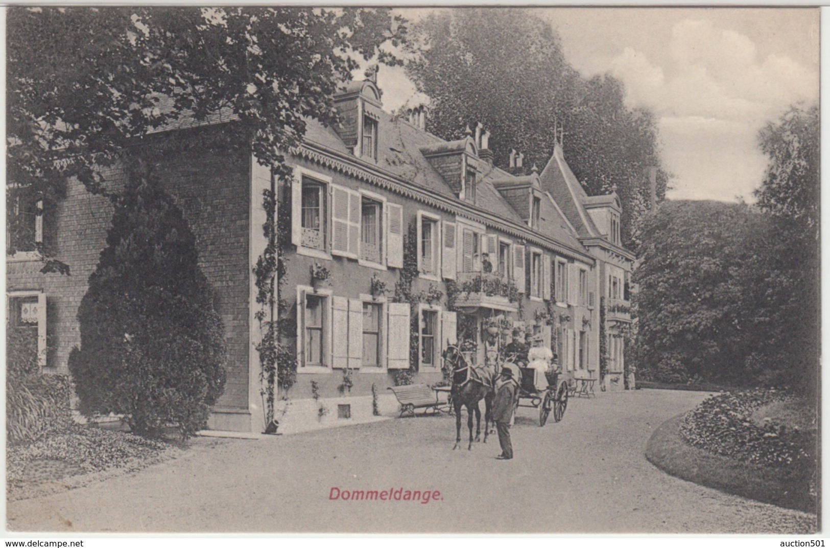 28443g DOMMELDANGE - ATTELAGE -1908 - Luxembourg - Ville