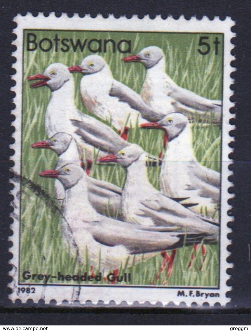 Botswana 1982 Single 5t Commemorative Stamp From The Birds Set. - Botswana (1966-...)