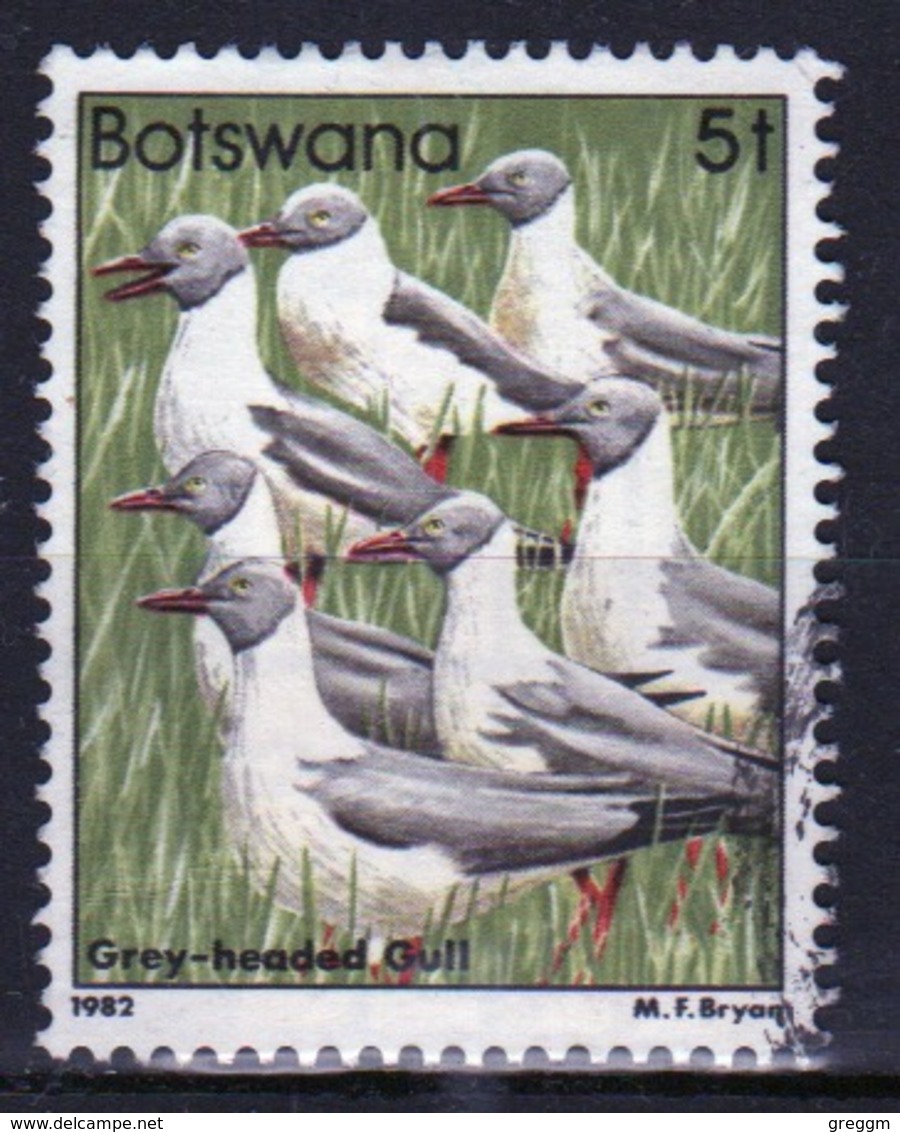 Botswana 1982 Single 5t Commemorative Stamp From The Birds Set. - Botswana (1966-...)