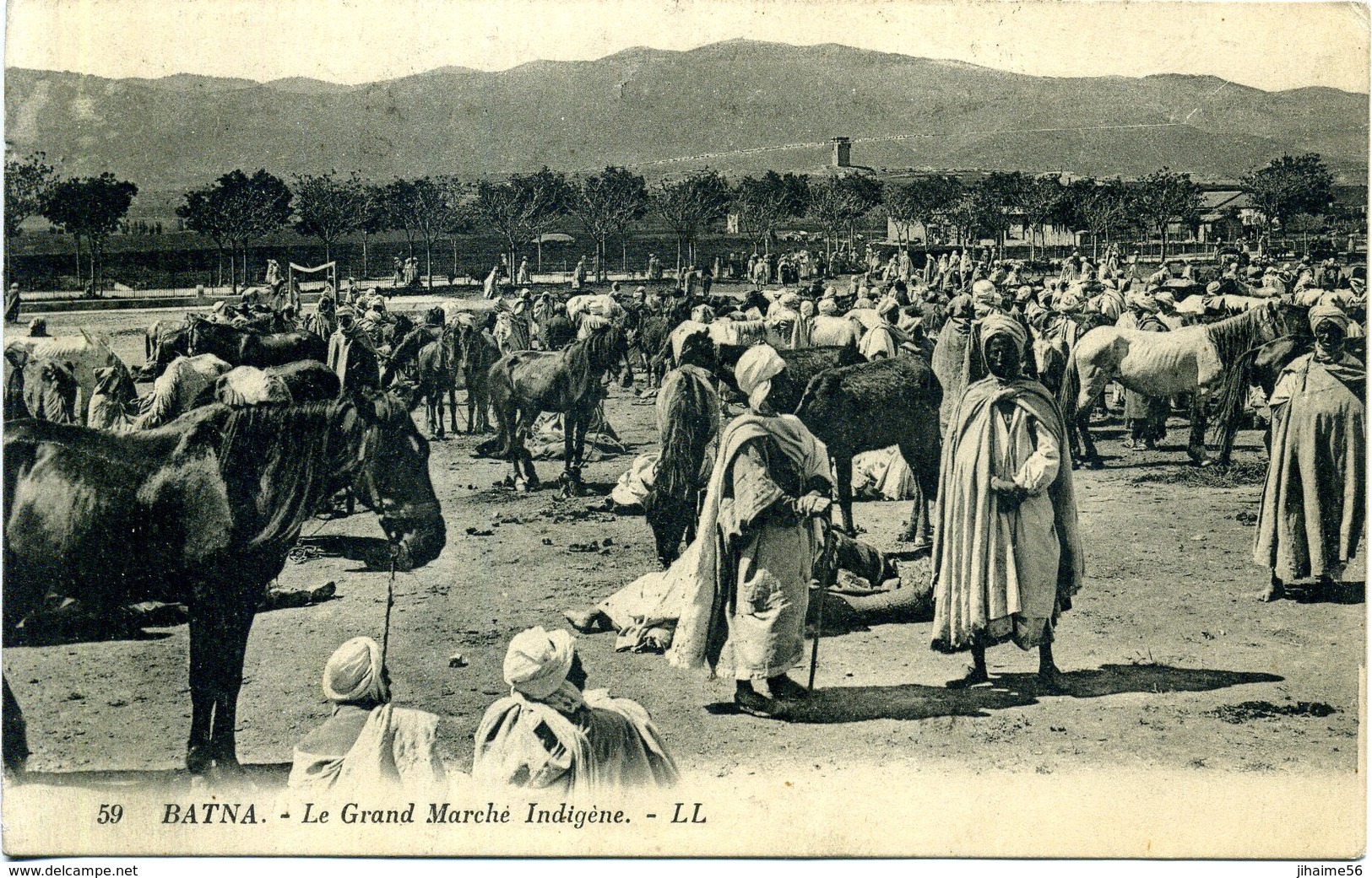 Algérie - Batna - Le Grand Marché Indigène. - Batna