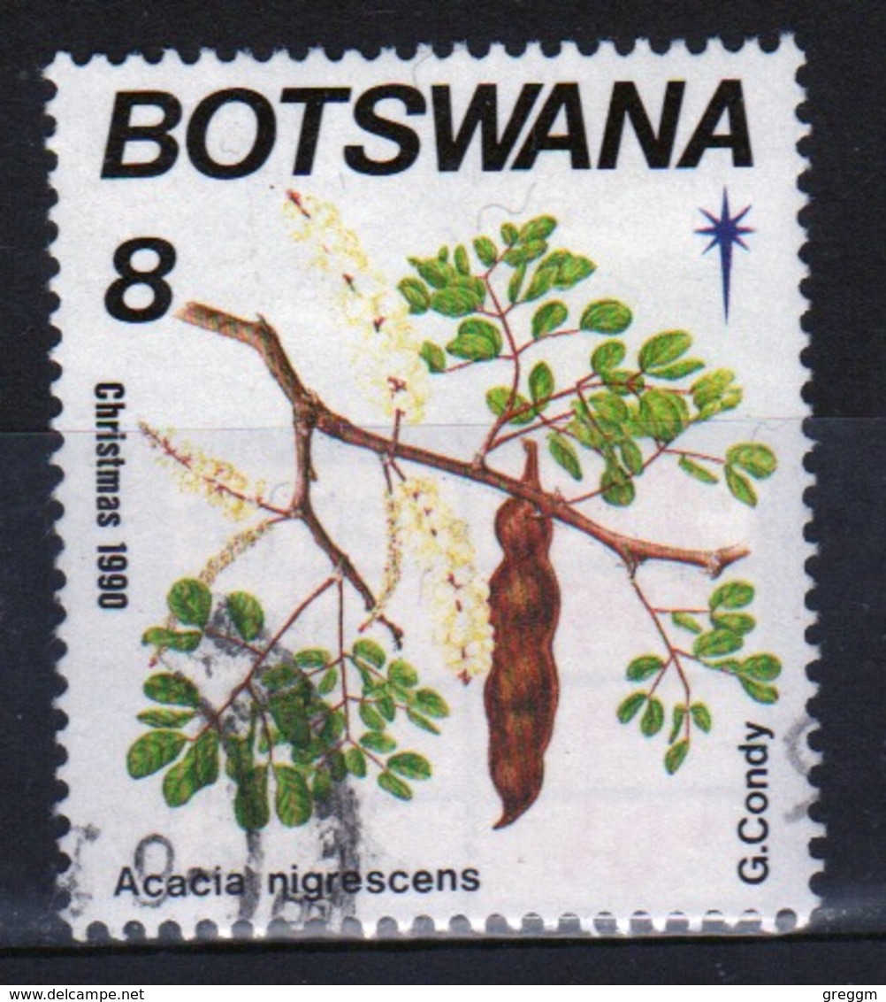 Botswana 1990 Single 8t Commemorative Stamp From The Christmas Flowering Trees Set. - Botswana (1966-...)