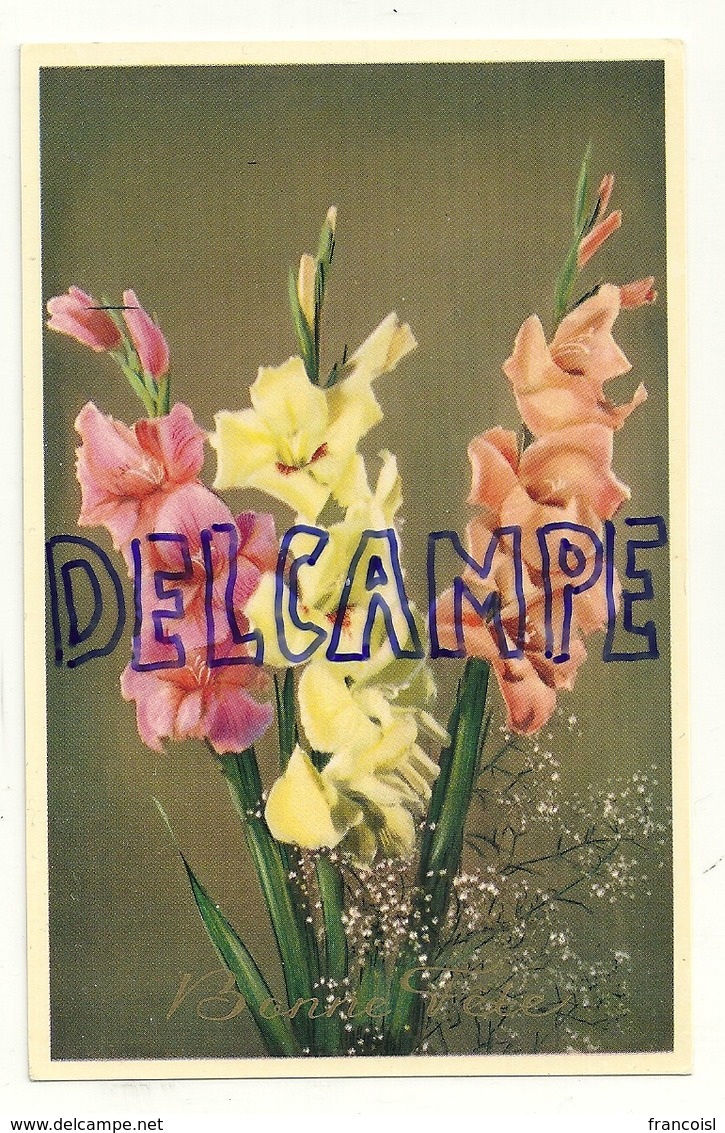 Bouquets De Glaïeuls. Bonne Fête. Coloprint Spécial 6583. Glacée - Autres & Non Classés