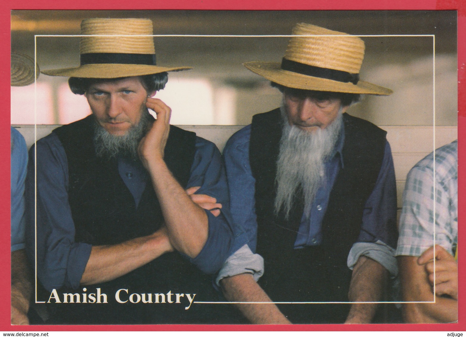 Grettings From THE AMISH COUNTRY - Photo D. Noble *Gettysburg ** 2 SCANS - Autres & Non Classés