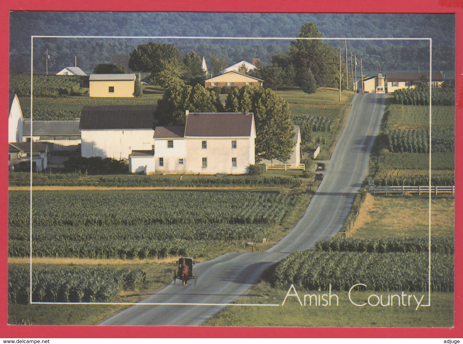 Grettings From THE AMISH COUNTRY - Photo D. Noble ** 2 SCANS - Autres & Non Classés