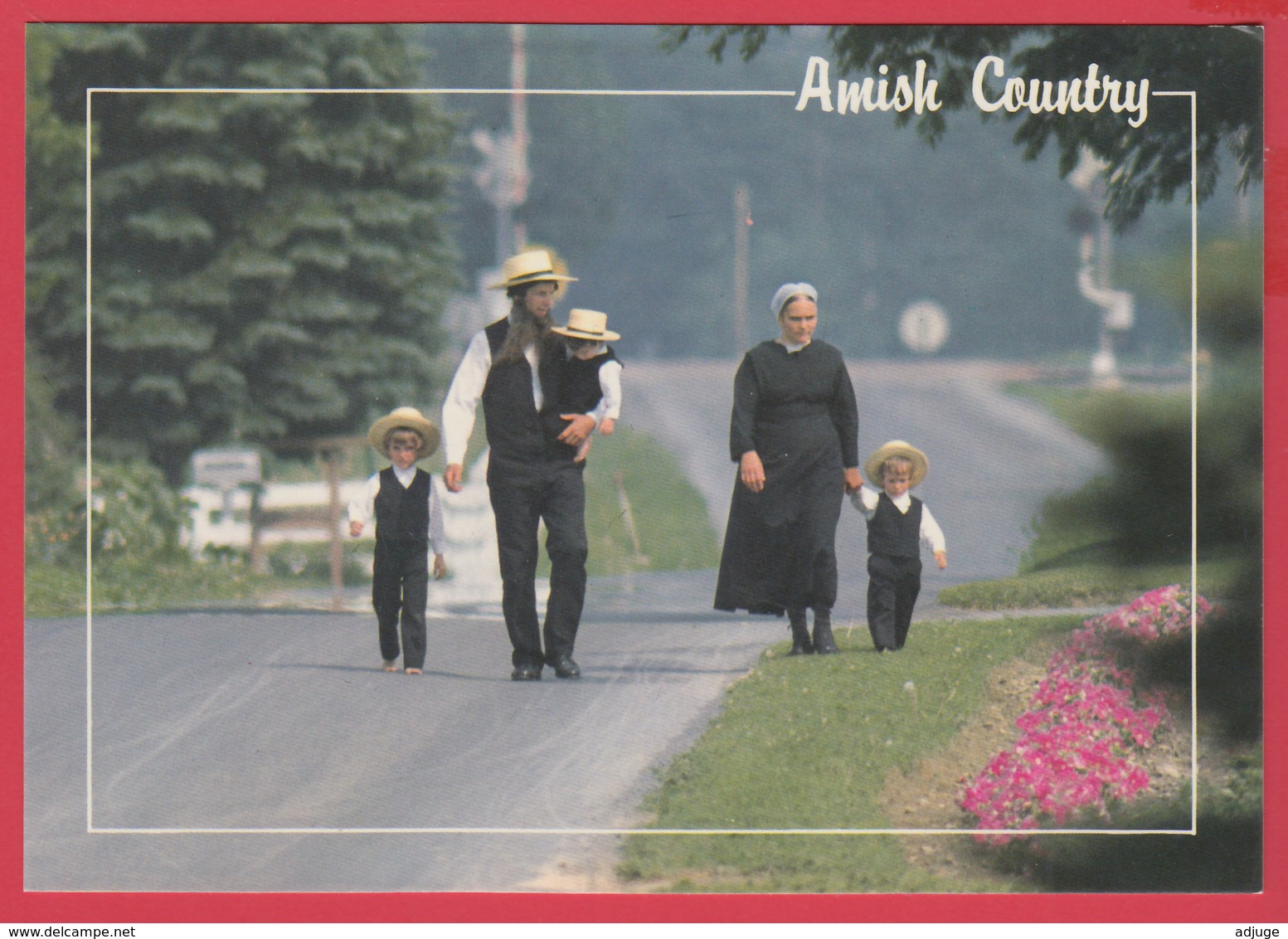 Grettings From THE AMISH COUNTRY -AMISH FAMILY - Photo D. Noble ** 2 SCANS - Autres & Non Classés