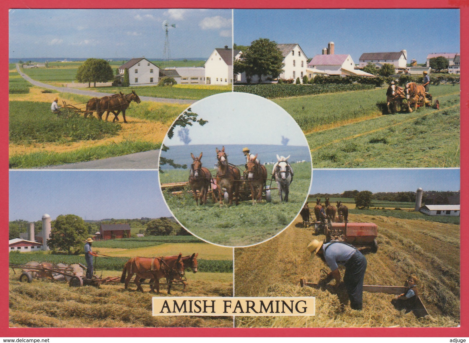 Grettings From THE AMISH COUNTRY -AMISH FARMING ** 2 SCANS - Autres & Non Classés