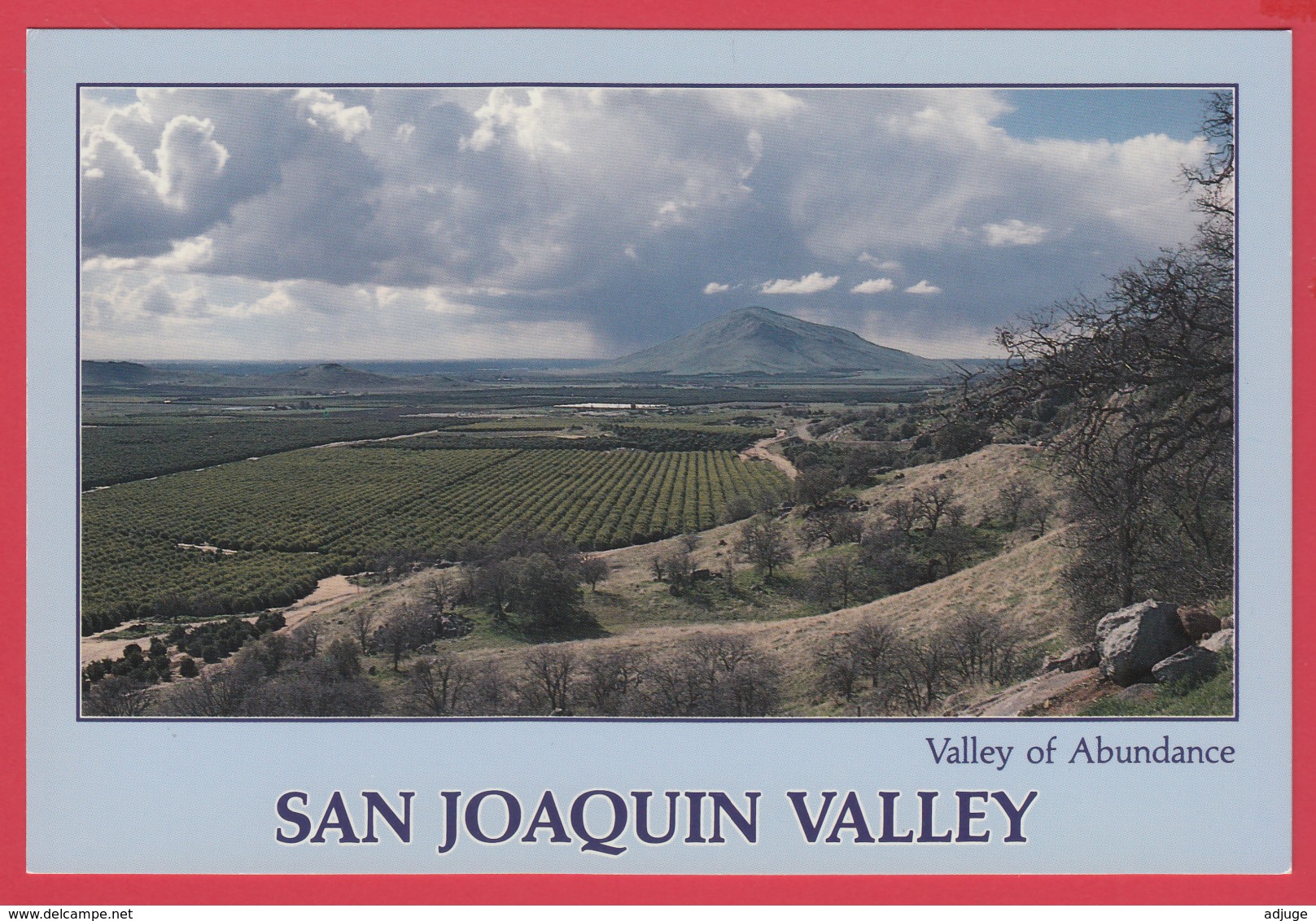 SAN JOAQUIN VALLEY , Valey Of Abundance - Photo David Compolongo ** 2 SCANS - Autres & Non Classés