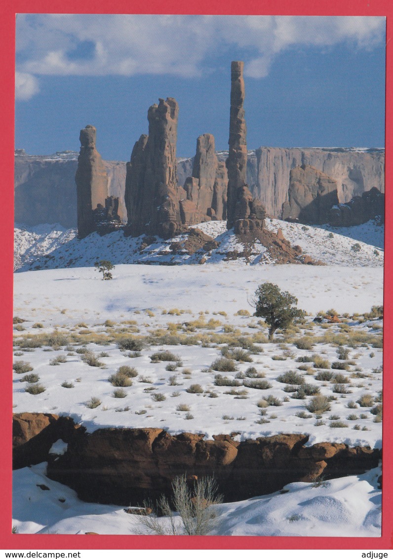MONUMENT VALLEY - NAVAJO TRIBAL PARK * Photo David Muench* 2 SCANS - Monument Valley