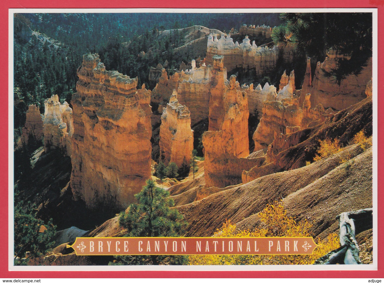BRYCE CANYON NATIONAL PARK * Photo Josef Muench * * 2 SCANS - Bryce Canyon