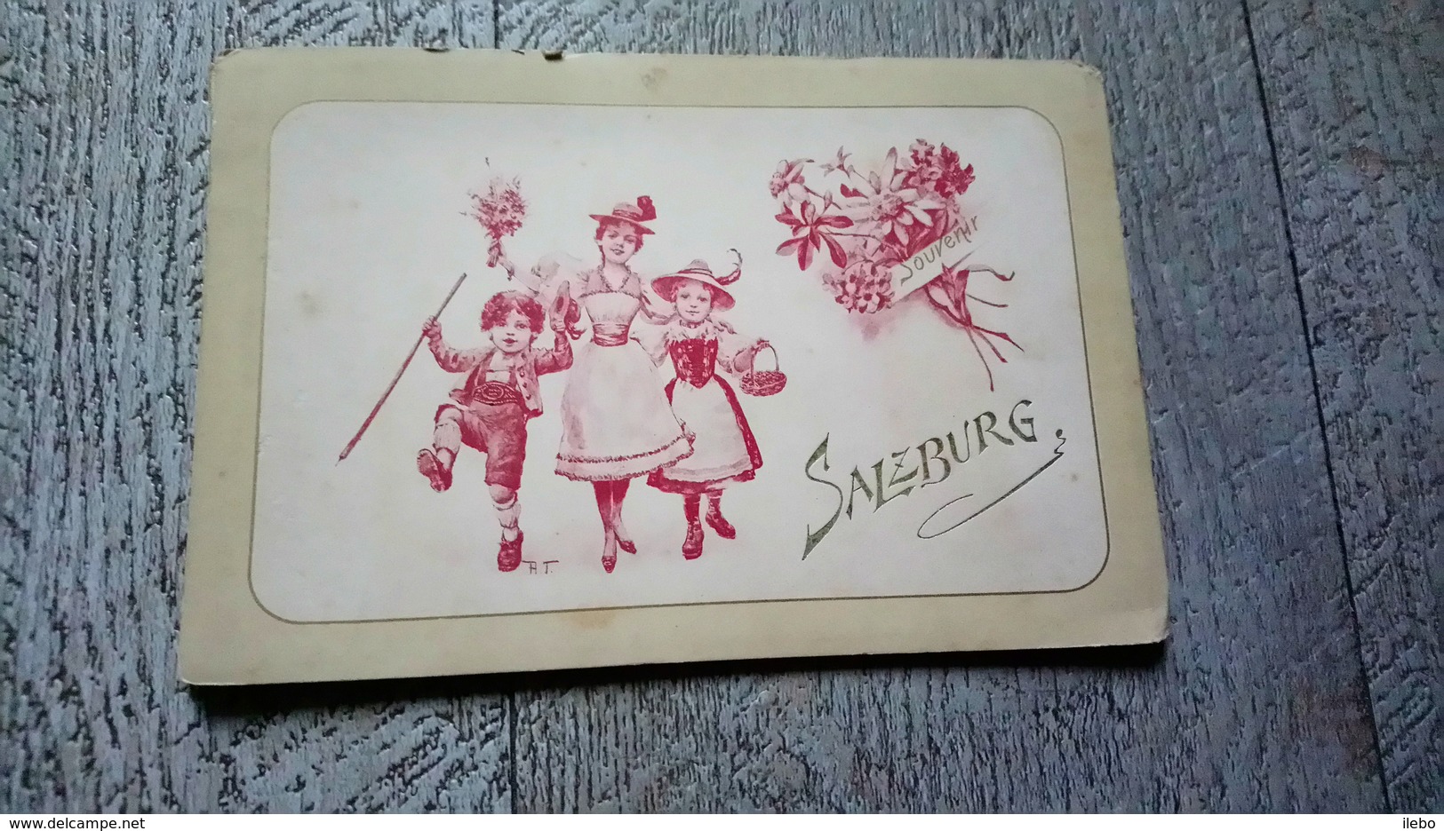 Souvenir De Salzburg Carnet 8 Vues Dépliantes Autriche - Autres & Non Classés