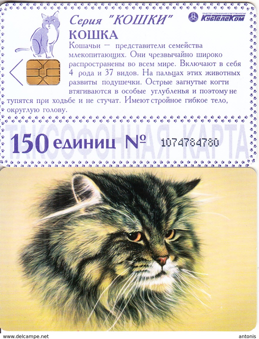 RUSSIA-KRASNODAR(chip) - Cat(150 Units-large), Used - Russia