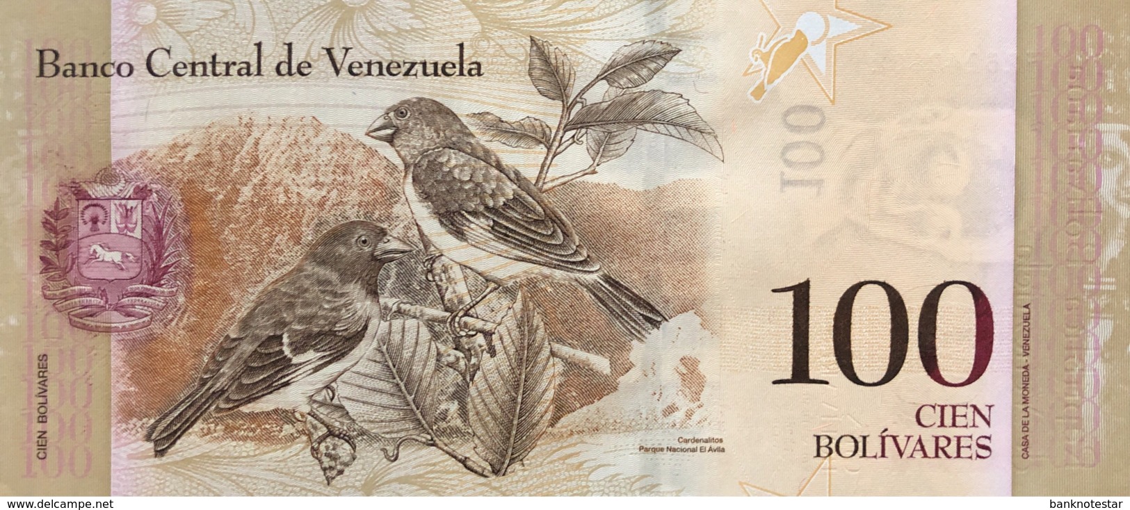 Venezuela 100 Bolivares, P-93c (3.9.2009) - UNC - Venezuela