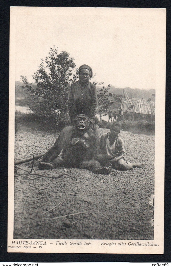 REPUBLIQUE CENTRAFRICAINE - HAUTE SANGA - Vieille Gorille Tuée - Centrafricaine (République)