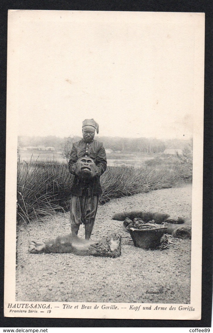 REPUBLIQUE CENTRAFRICAINE - HAUTE SANGA - Tête Et Bras De Gorille - Centrafricaine (République)