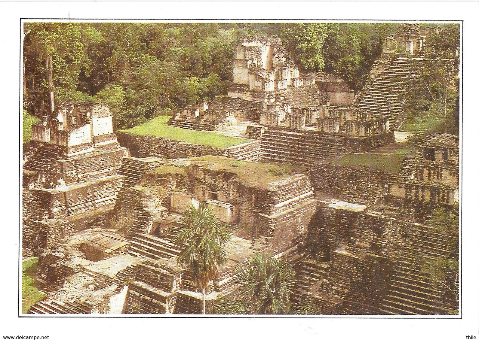 TIKAL - L'ancienne Métropole Maya - Guatemala