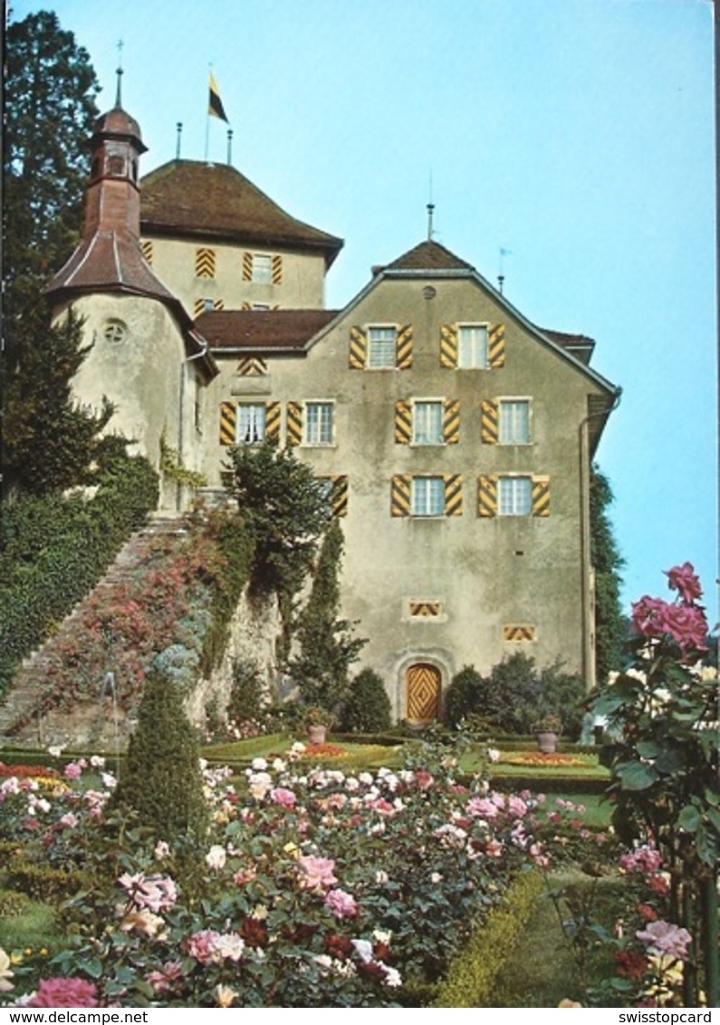 GELFINGEN Schloss Heidegg - Gelfingen