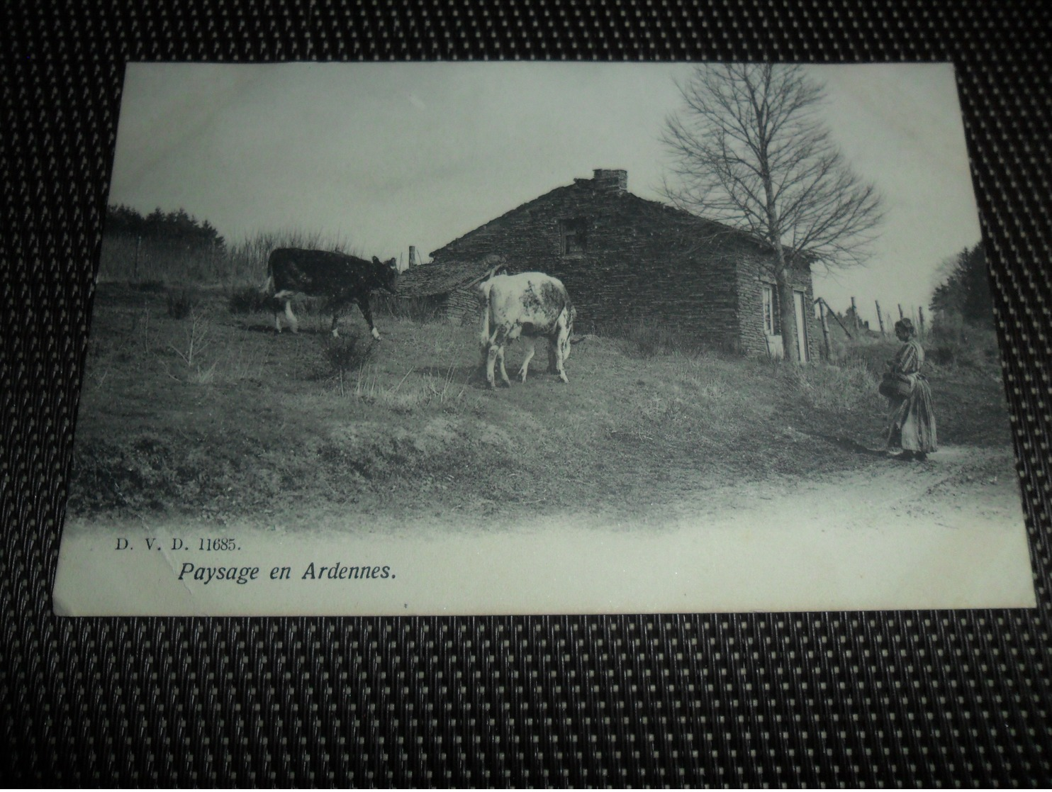 Beau lot de 20 cartes postales de Belgique       Mooi lot van 20 postkaarten van België   - 20 scans