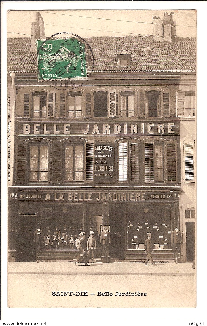 88 - Saint Die - Belle Jardinière - Saint Die