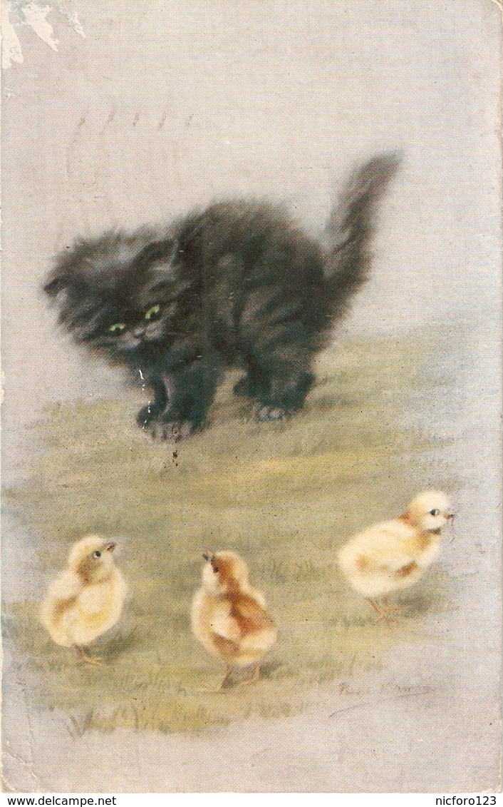 "Persis Kirms.Kitten And Chicls. Little Bits Of Fluff Tuck Oilette Persian Oussies Series PC # 3581 - Bertiglia, A.