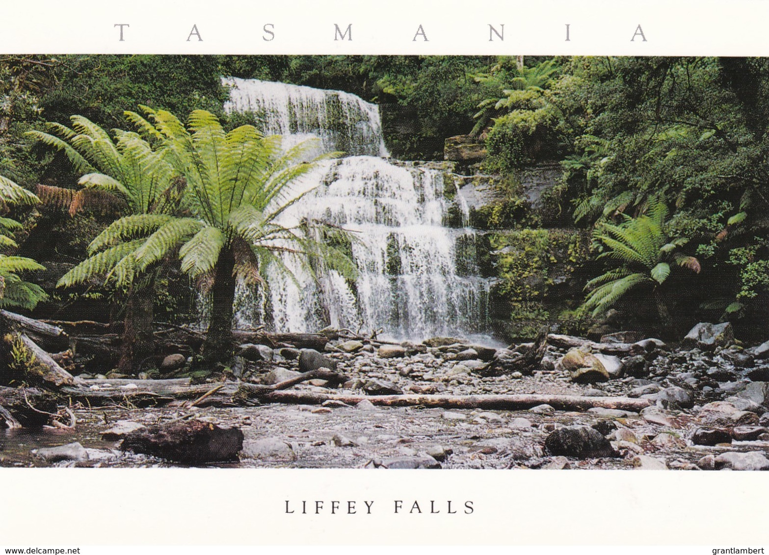 Liffey River Falls, Northern Tasmania - Unused - Other & Unclassified