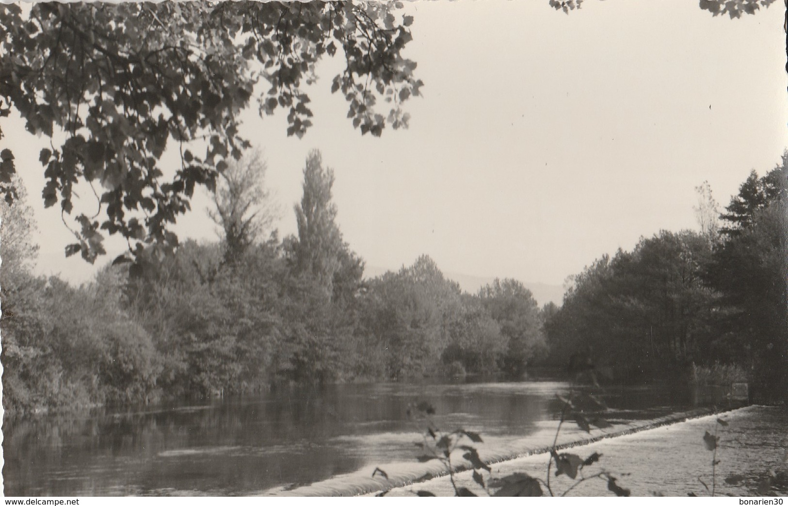 CPSM 84  L'ISLE SUR SORGUE  PARTAGE DES EAUX - L'Isle Sur Sorgue