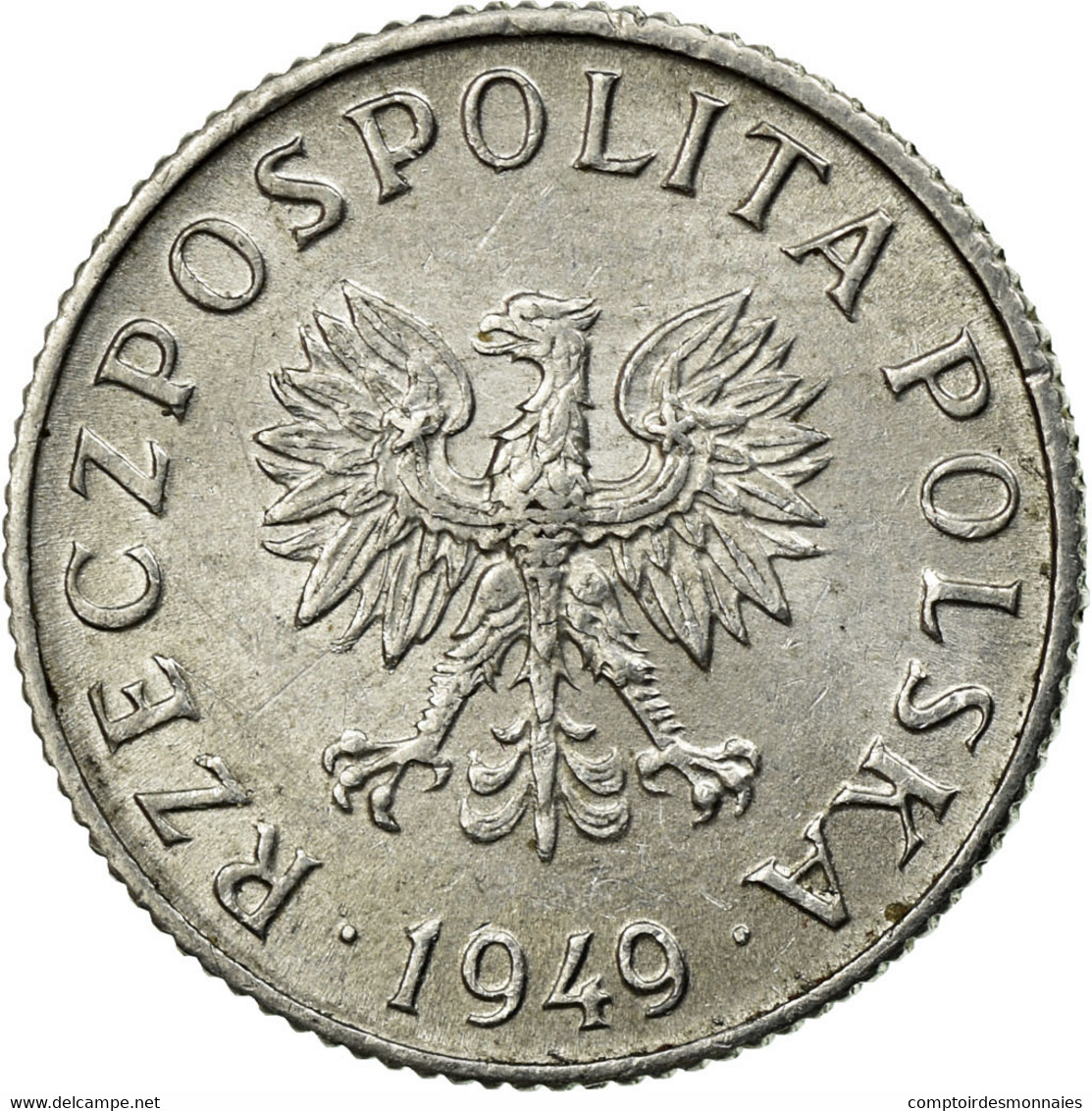 Monnaie, Pologne, Grosz, 1949, TTB, Aluminium, KM:39 - Pologne