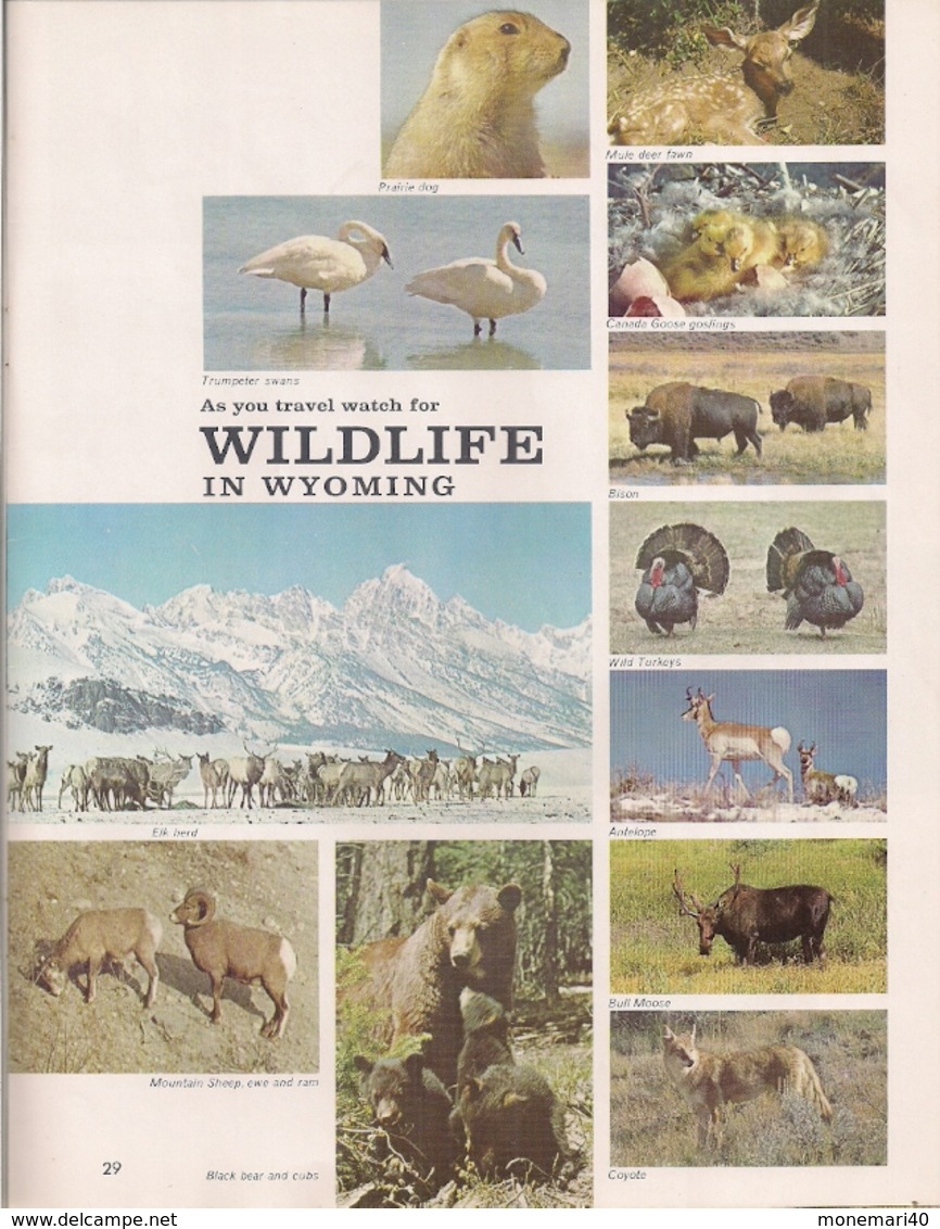 WYOMING (US.A.) - LIVRE (GUIDE TOURISTIQUE) Avec CARTE ROUTIÈRE. - Nordamerika