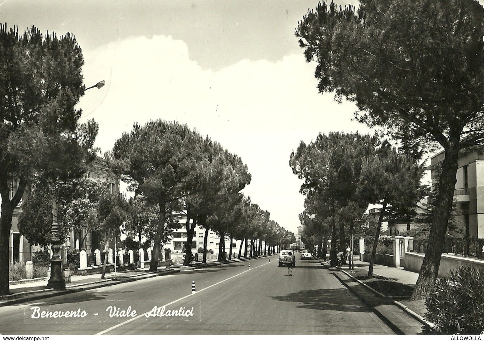 2574 "BENEVENTO-VIALE ATLANTICI-FIAT 1100,AUTOBUS-INSEGNA SHELL TRA GLI ALBERI" CARTOLINA ORIG.  SPED. - Benevento