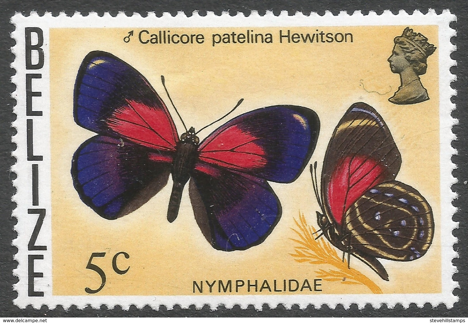 Belize. 1974 Butterflies Of Belize. 5c MH SG 408 - Belize (1973-...)