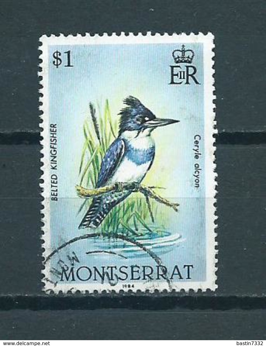 1984 Montserrat Birds,oiseaux,vogels Used/gebruikt/oblitere - Montserrat