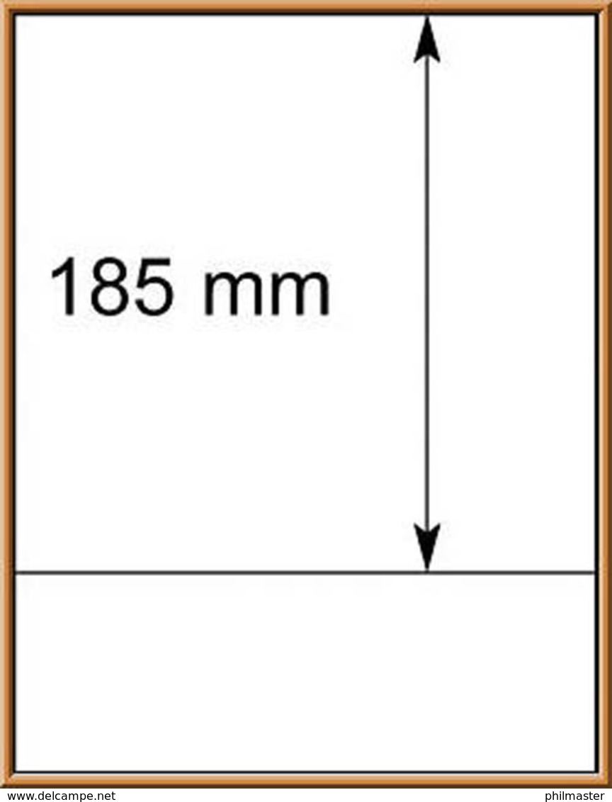 LINDNER-T-Blanko-Blätter 802 109 - 10er-Packung - Blankoblätter