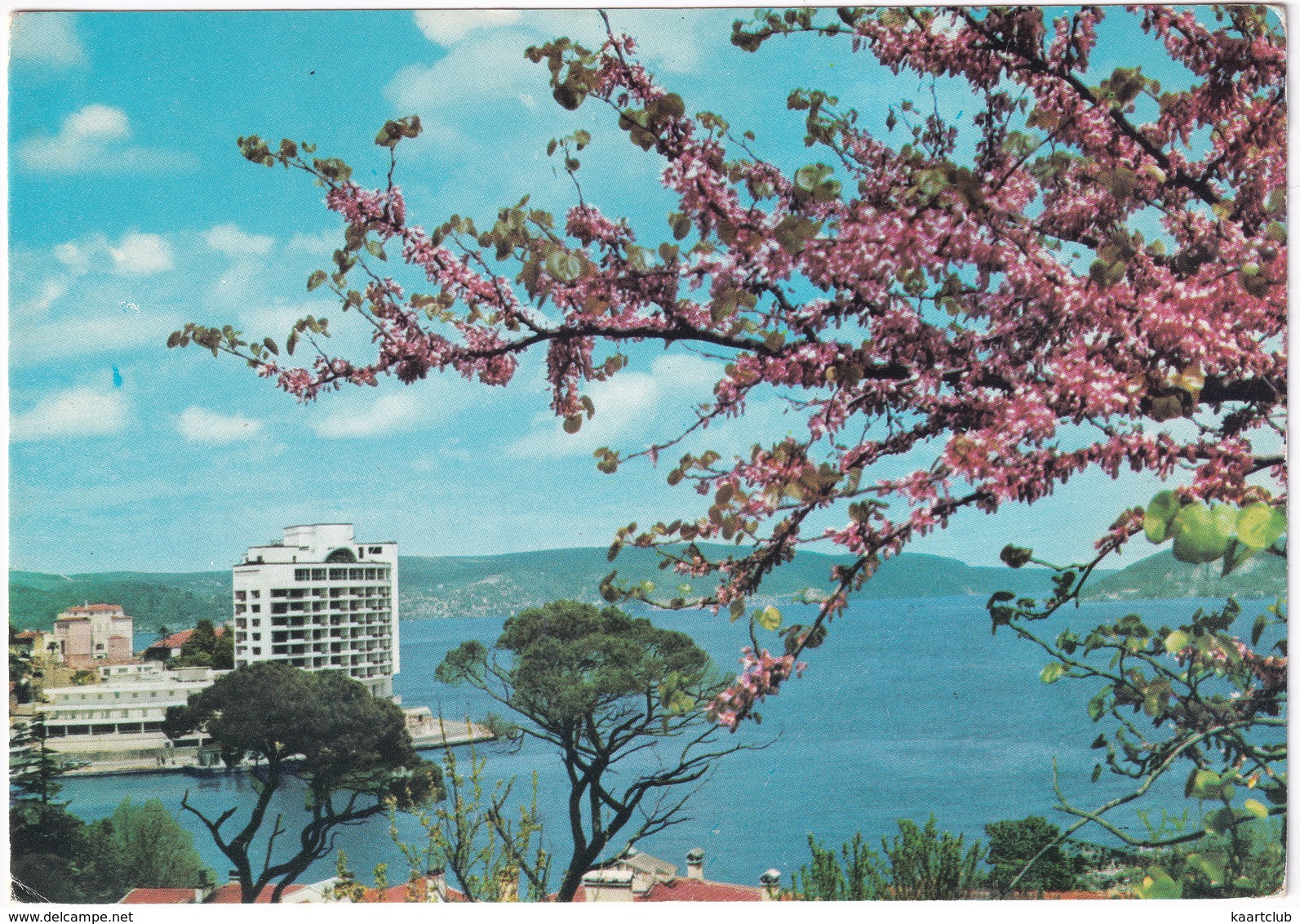 Istanbul - A View From Tarabya (on The Bosphorus) - (Türkiye) - Turkije