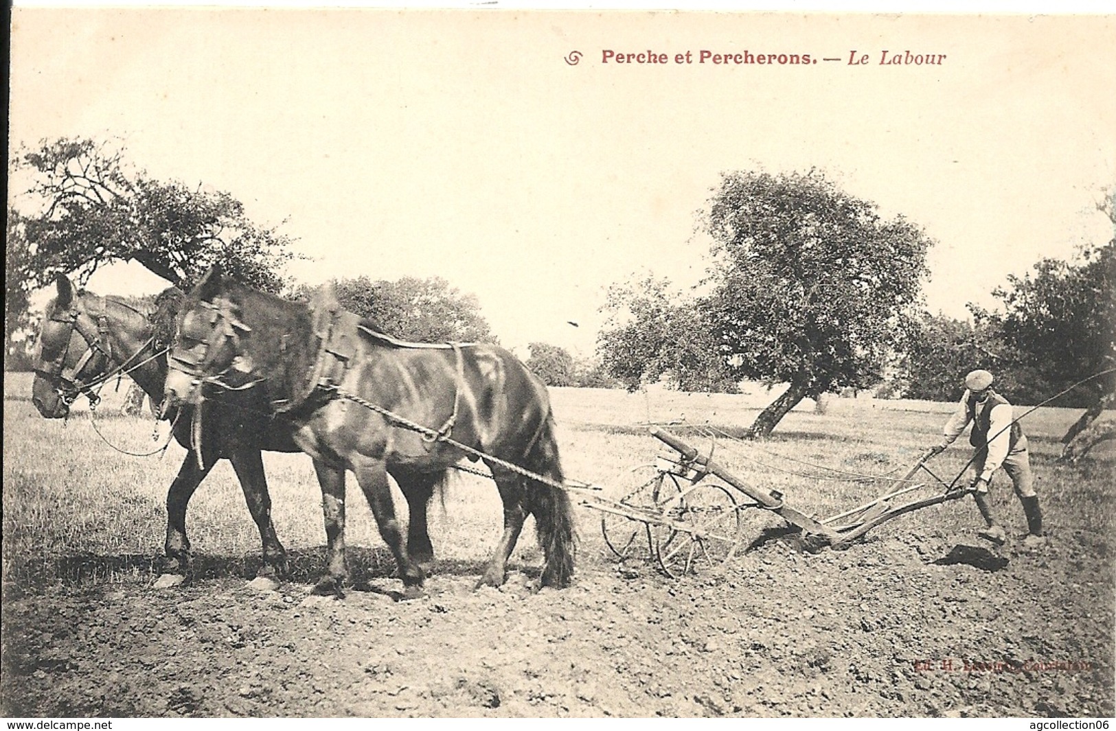 *PERCHE. LE LABOUR - Autres & Non Classés