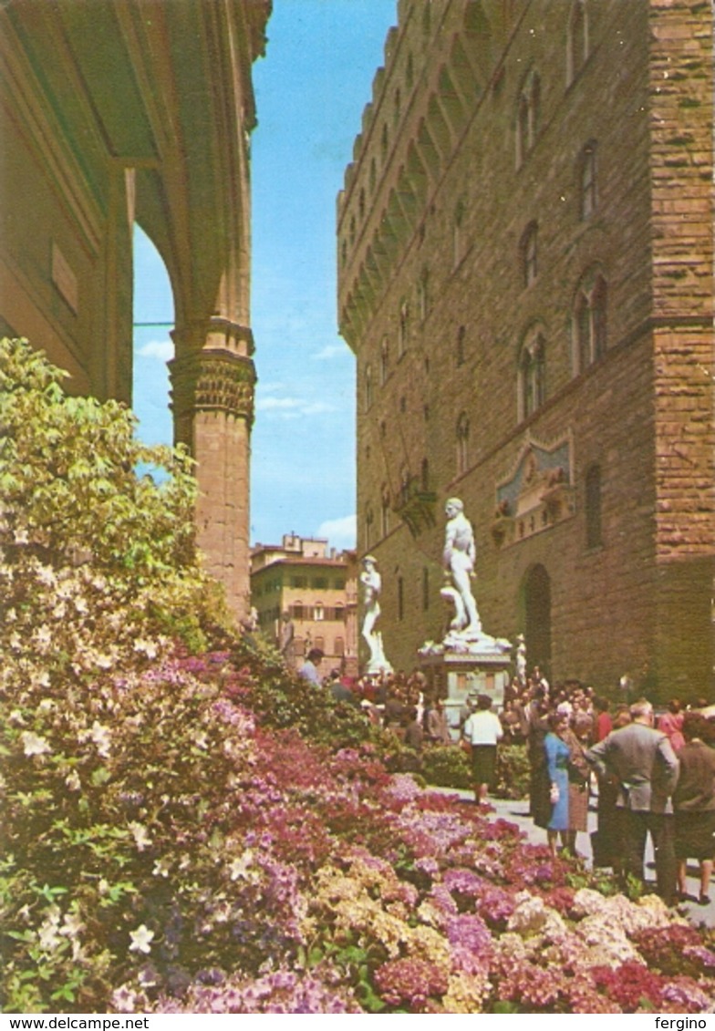 24/FG/19 - FIRENZE - Piazza Della Signoria, Festa Dei Fiori - Firenze (Florence)