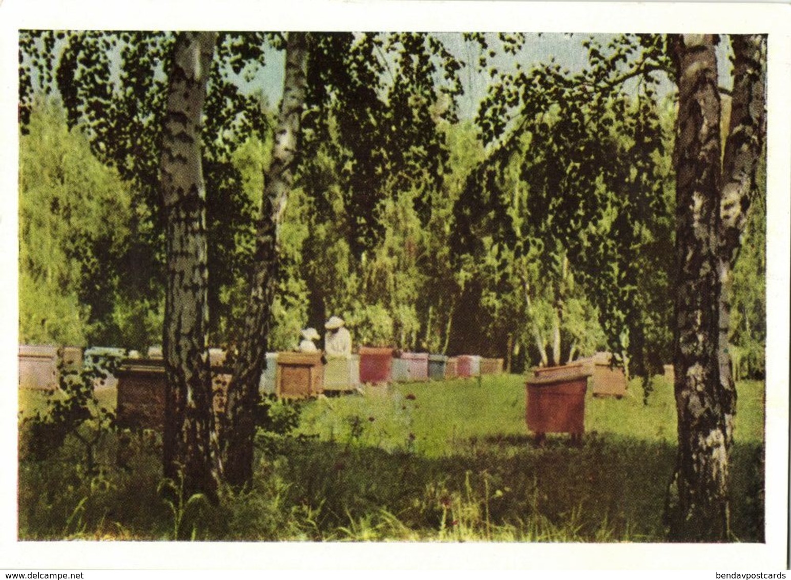 Kazakhstan Russia, Apiary Beekeepers Beekeeping Beehive Bee (1960s) - Craft