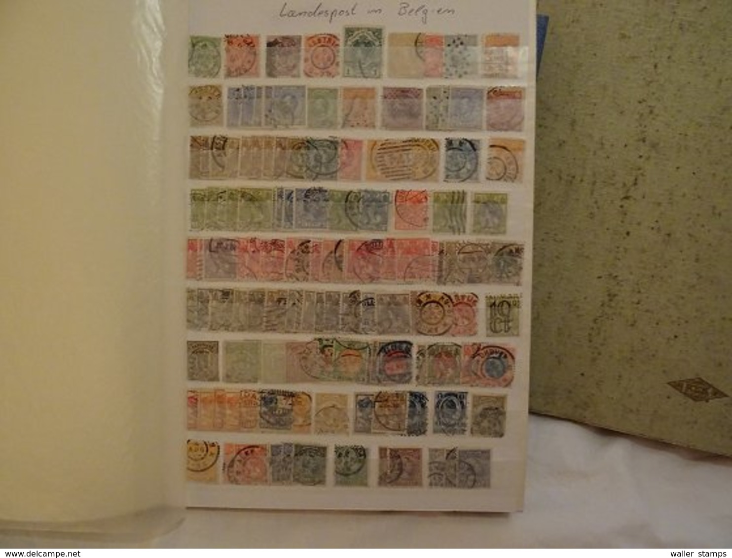 Lot With World Stamps In Albums