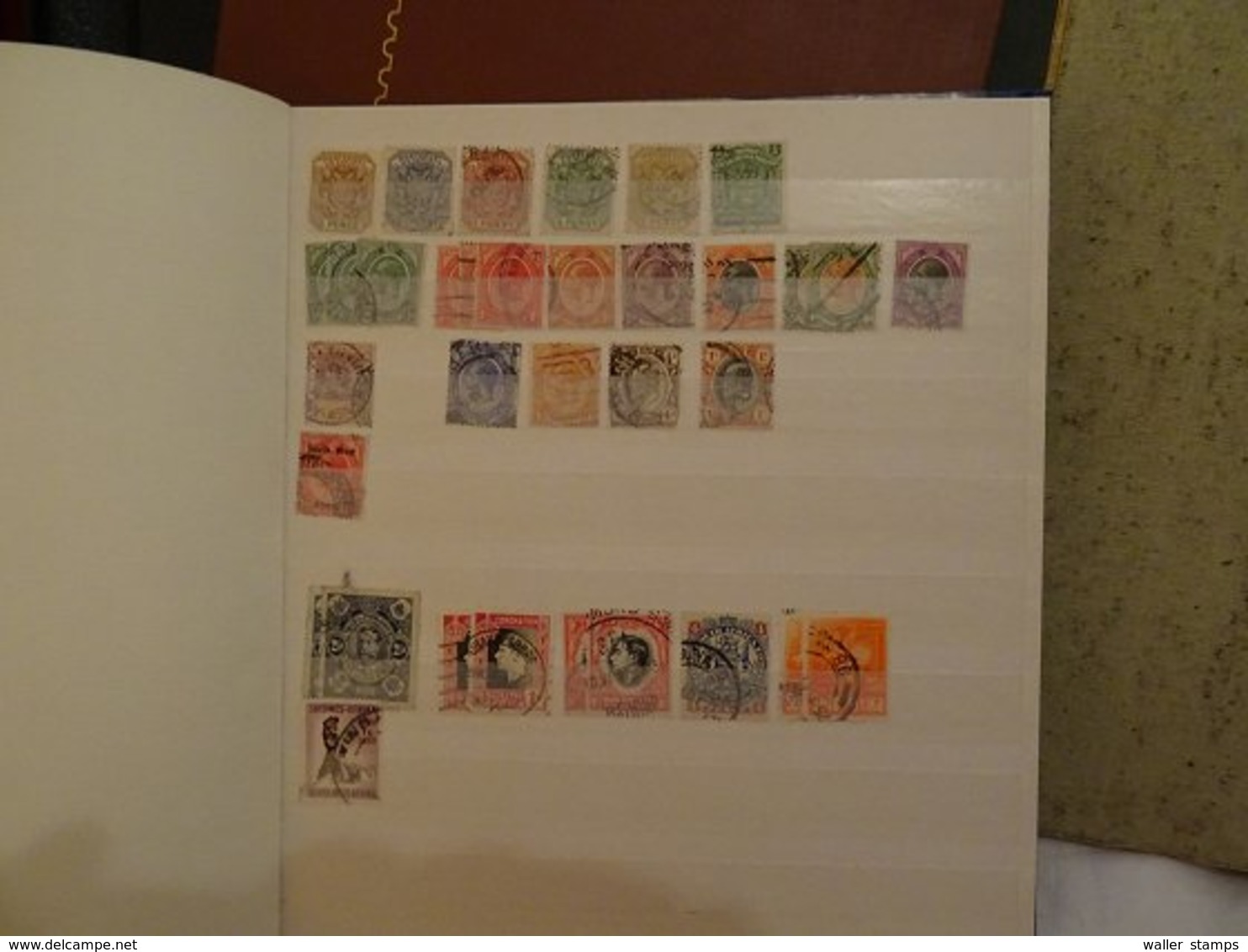 Lot With World Stamps In Albums