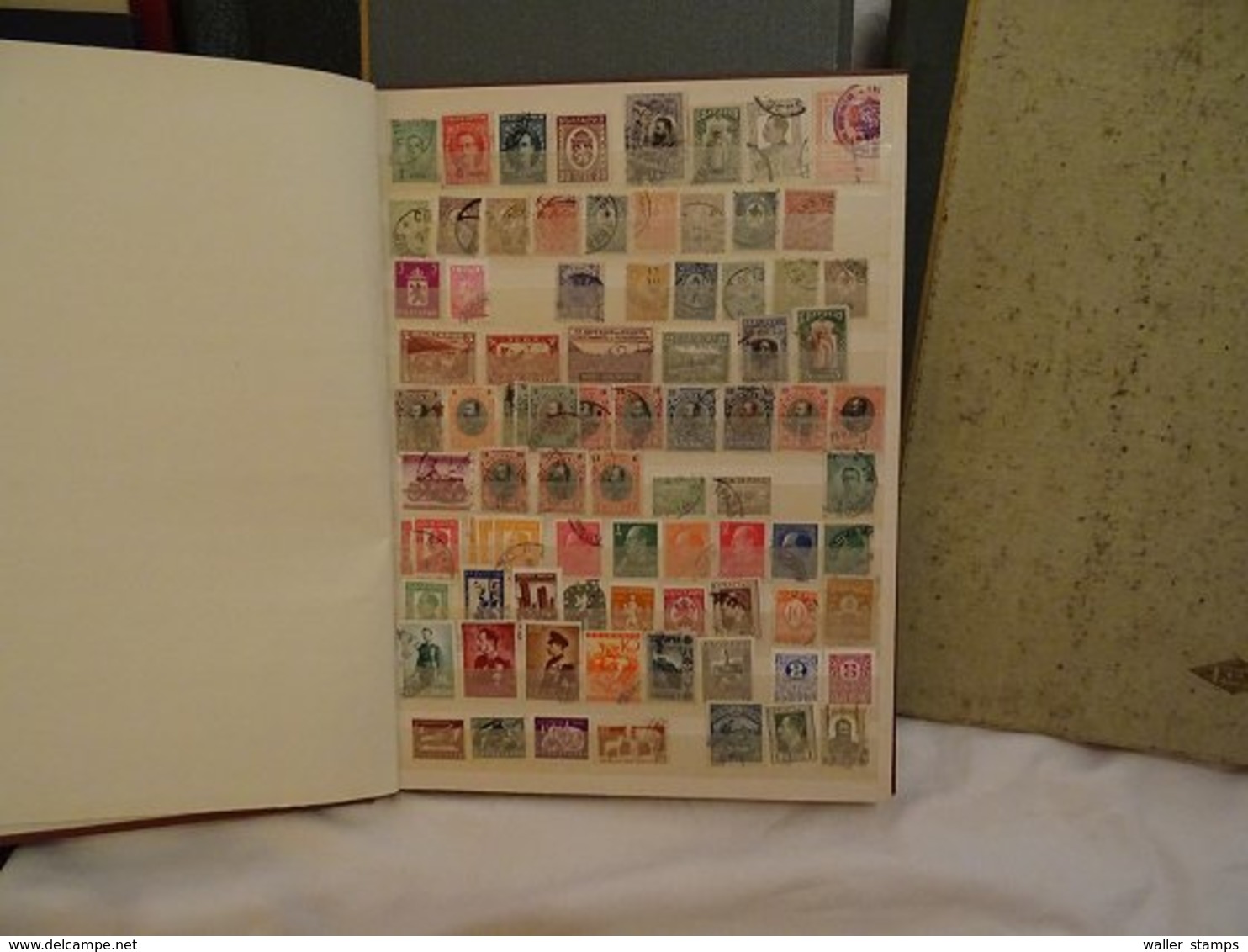 Lot With World Stamps In Albums