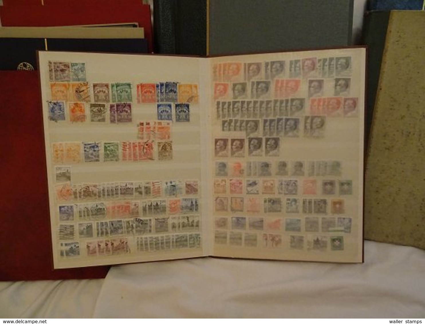 Lot With World Stamps In Albums