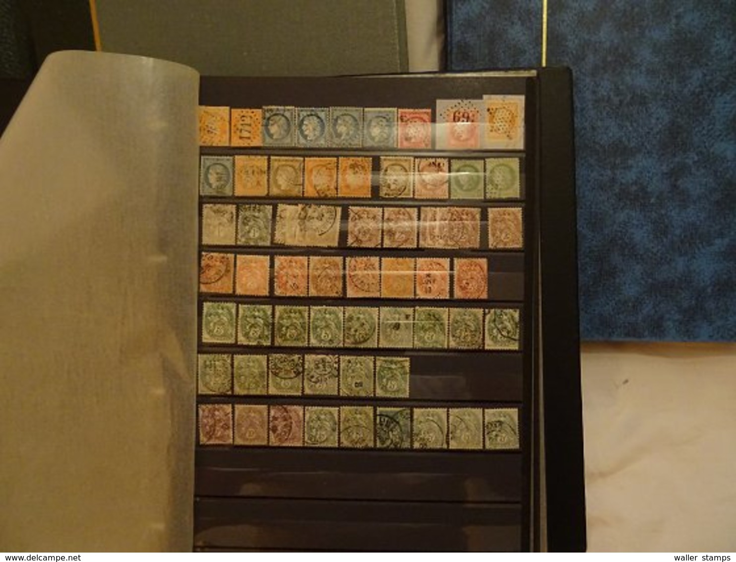 Lot With World Stamps In Albums