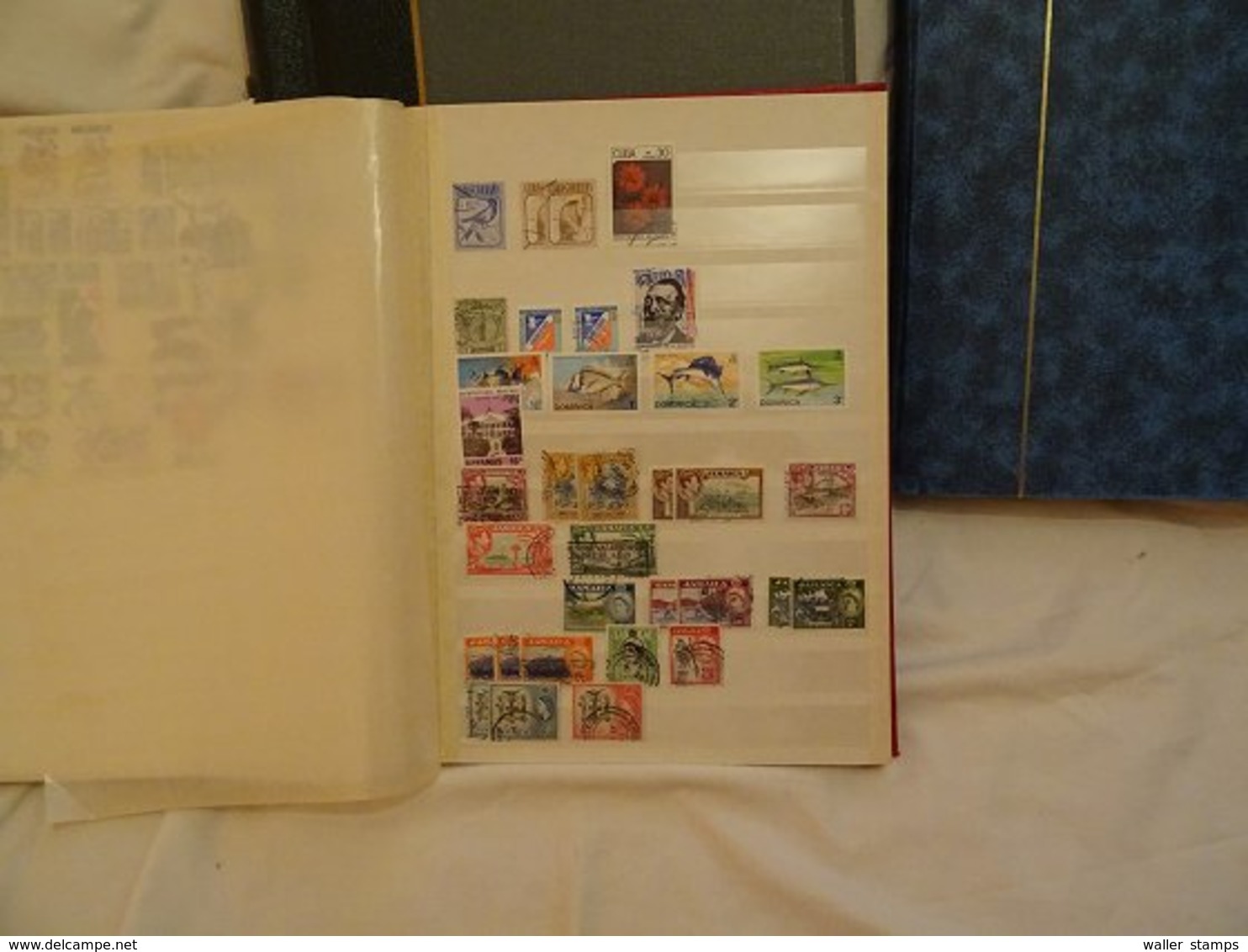 Lot With World Stamps In Albums