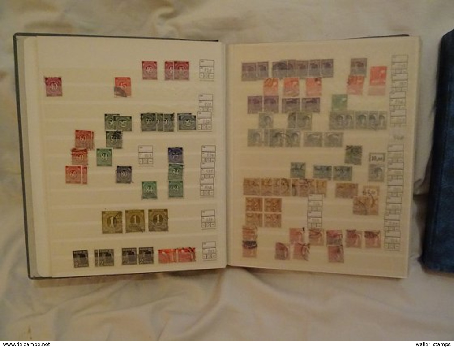 Lot With World Stamps In Albums