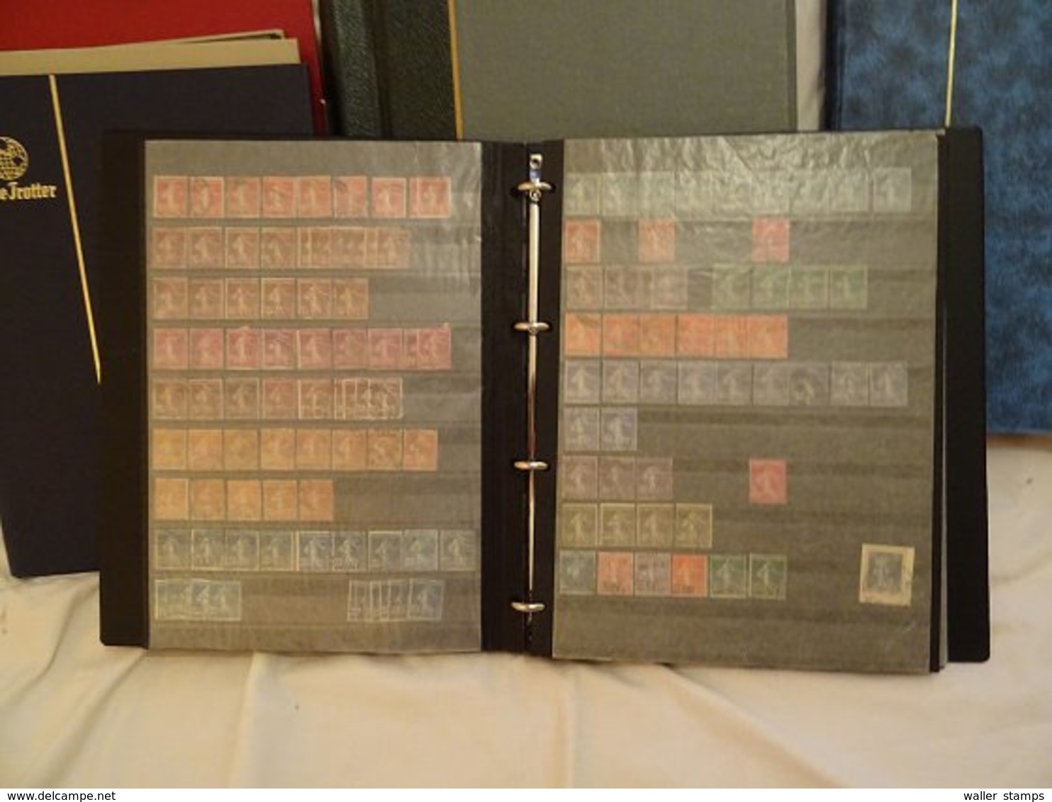 Lot With World Stamps In Albums