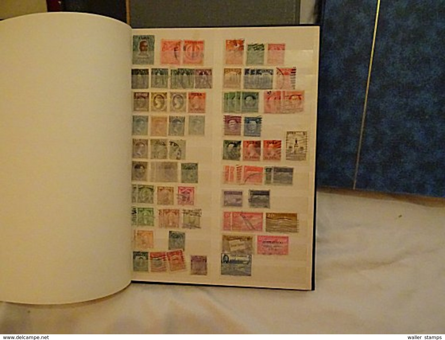 Lot With World Stamps In Albums