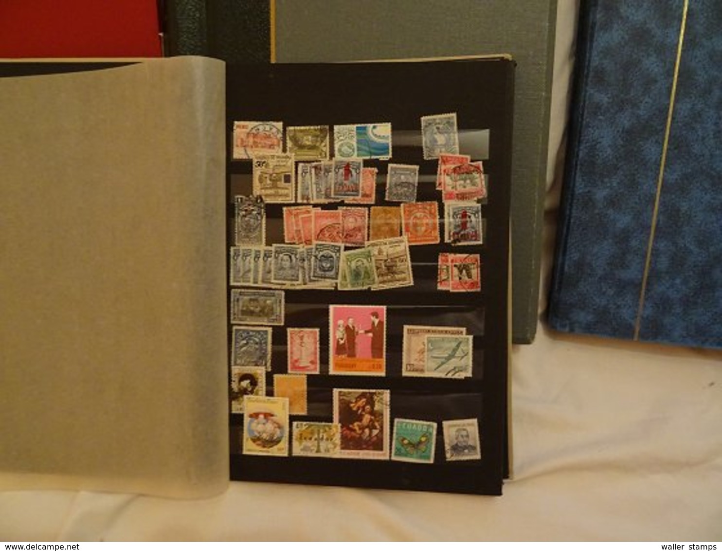 Lot With World Stamps In Albums